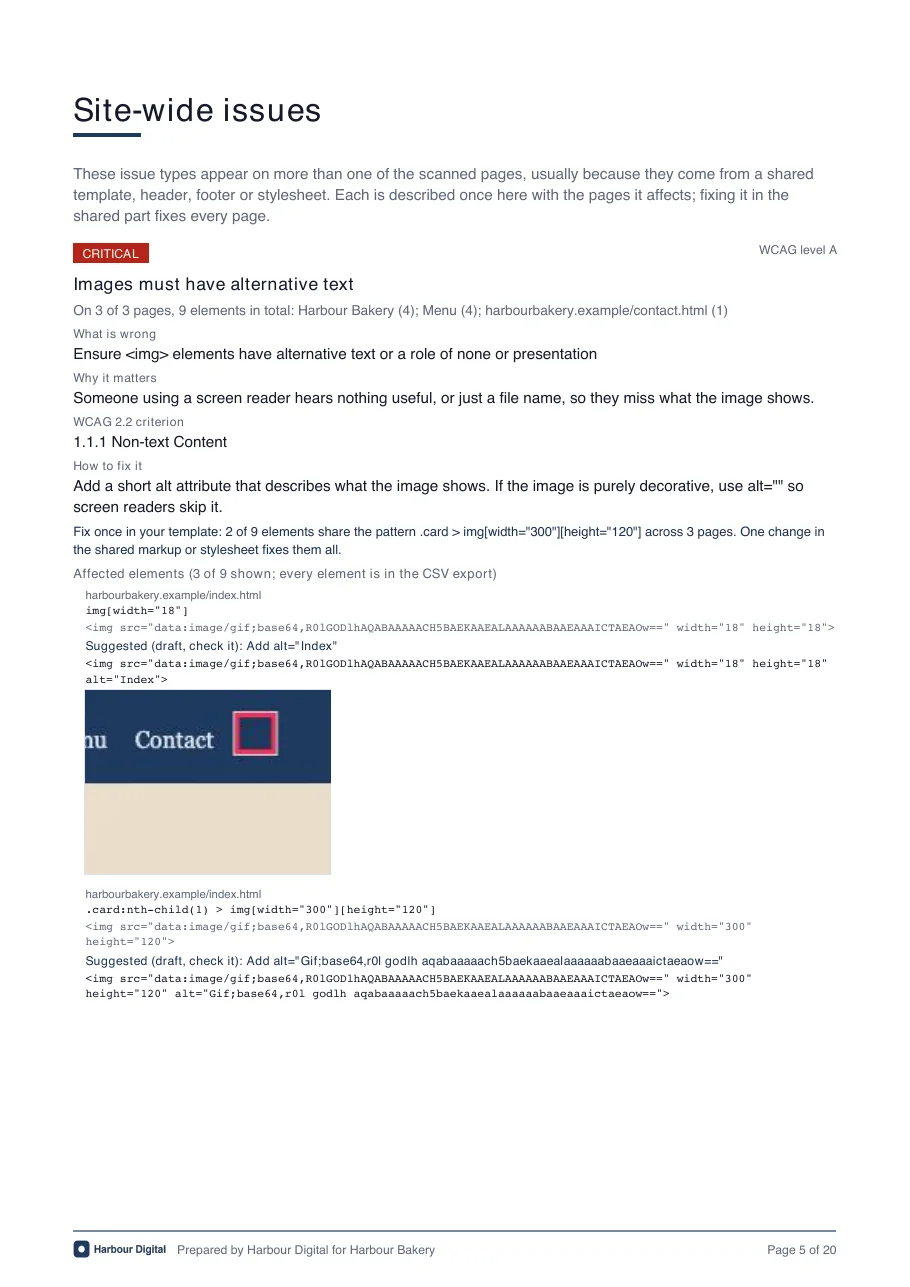 A site-wide issues page of the report, listing a critical issue with what is wrong, why it matters, the WCAG criterion, how to fix it and the affected elements.